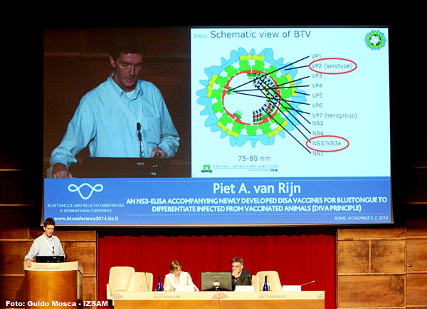 Piet A. van Rijn durante il suo intervento alla Conferenza internazionale Bluetongue e altre malattie da Orbivirus
