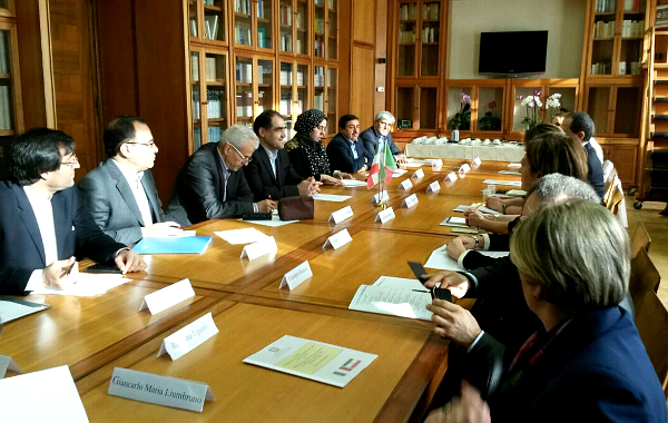 Tavolo di lavoro al Ministero della Salute durante l’incontro Italia Iran