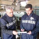 due carabinieri del NAS durante una ispezione ad un allevamento
