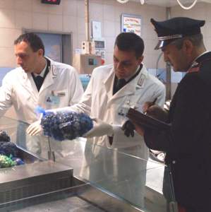 Carabinieri del NAS controllano prodotti ittici