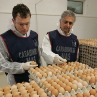 Carabinieri NAS con delle uova sequestrate