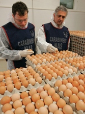 sequestri di uova irregolari da parte dei Carabinieri dei NAS