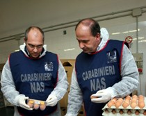 sequestro di uova da parte del NAS Carabinieri di Foggia