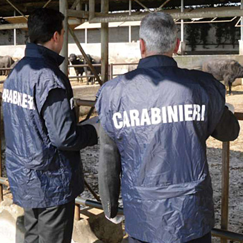 immagine di due carabinieri