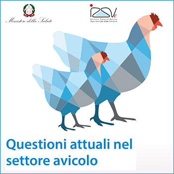 Immagine del programma del Convegno Questioni attuali nel settore avicolo con loghi del Ministero della Salute e dell'istituto Zooprofilattico delle Venezie
