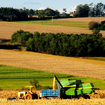 immagine di un campo coltivato con un camion 