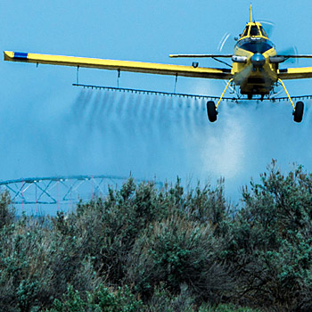 immagine di un elicottero che getta insetticidi su un campo