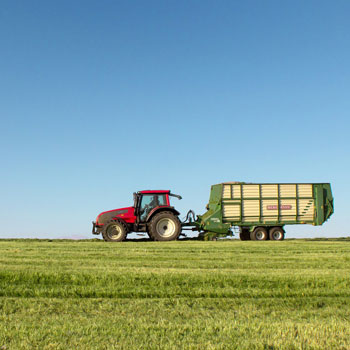 immagine raffigurante un campo con un trattore