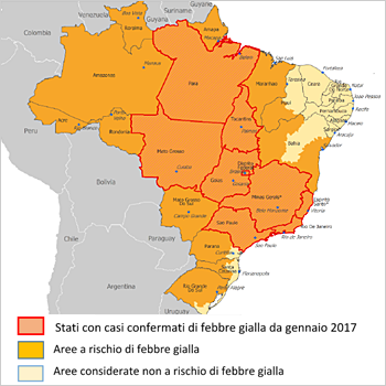 Risultati immagini per febbre gialla brasile