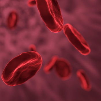 illustrazione con cellule del sangue