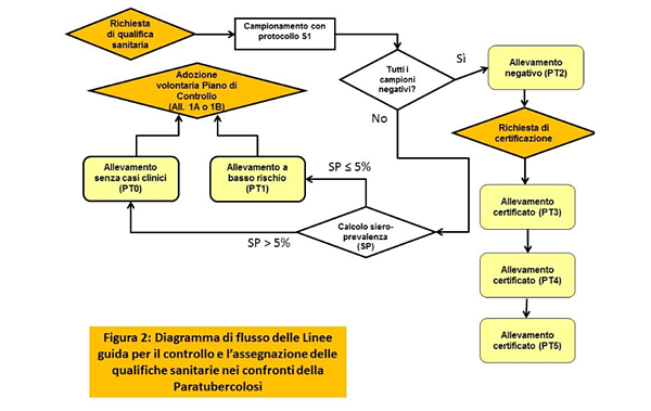Diagramm di flusso delle linee guida per il controllo e l'assegnazione delle qualifiche sanitarie nei confronti della paratubercolosi