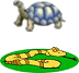 tartaruga e serpe