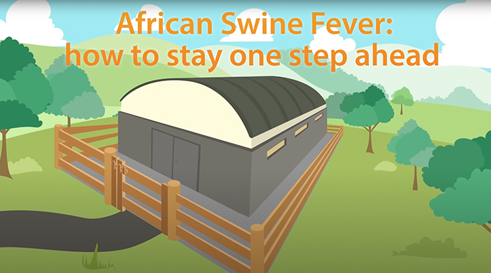 African Swine Fever: how to stay one step ahead