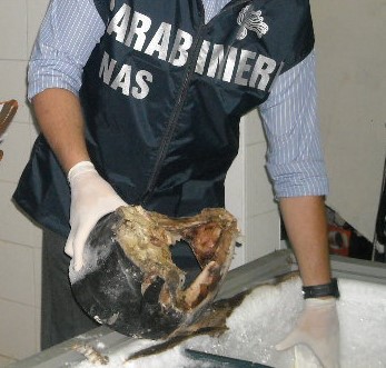 I NAS rinvenvono dei prodotti ittici abusivamente congelati