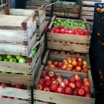 immagine tratta dal video dei NAS raffigurante cassette di frutta