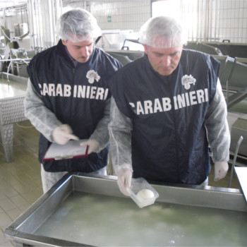 immagine di due carabinieri nas che ispezionano prodotti caseari