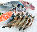 Immagine raffigurante vari tipi di pesci