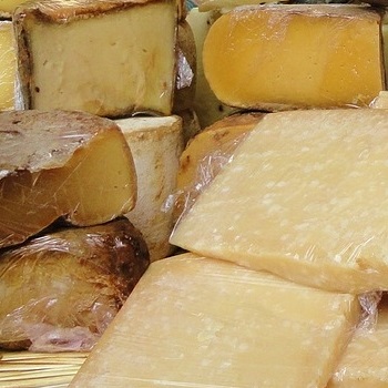Immagine raffigurante dei formaggi