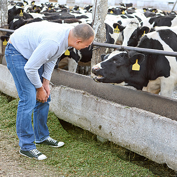 immagine di un allevatore che controlla il proprio bestiame