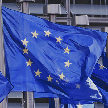 immagine della bandiera della Comunità Europea