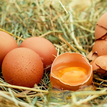 immagine raffigurante uova