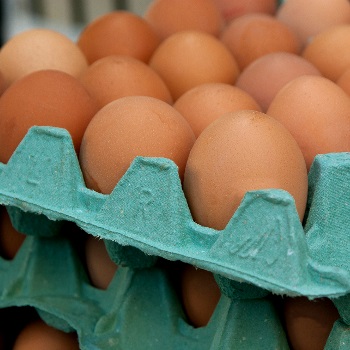 immagine di uova 