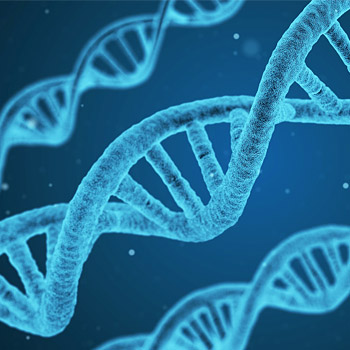 immagine di DNA