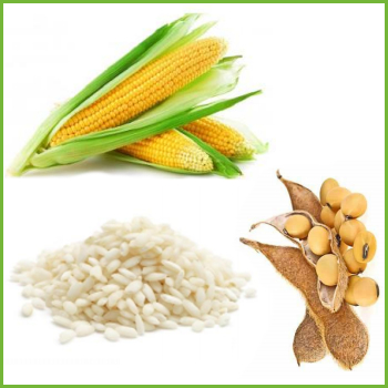 immagine di mais, riso e soia