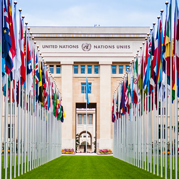 immagine del palazzo delle Nazioni Unite a Ginevra