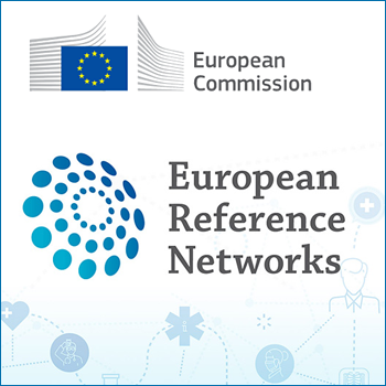 immagine del logo della commissione europea e del logo ERN