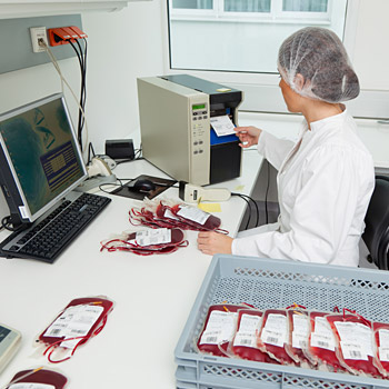 immagine di una operatrice con delle sacche di sangue