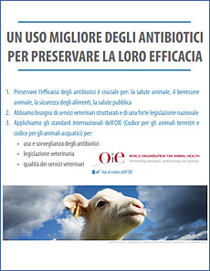 
      Settimana mondiale per l’uso prudente degli antibiotici 2016
   