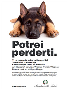 Campagna sul possesso responsabile degli animali d'affezione