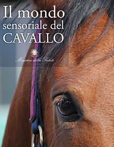 Il mondo sensoriale del cavallo