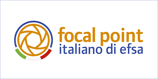 logo Focal Point Italia