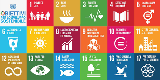 immagine con i simboli dei 17 obiettivi sostenibili