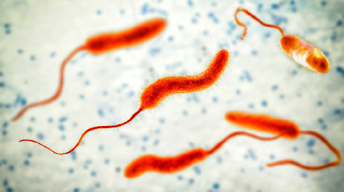 immagine tossine immagine tossine