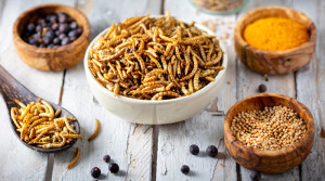 Nuovi alimenti (novel food): in generale Nuovi alimenti (novel food): in generale