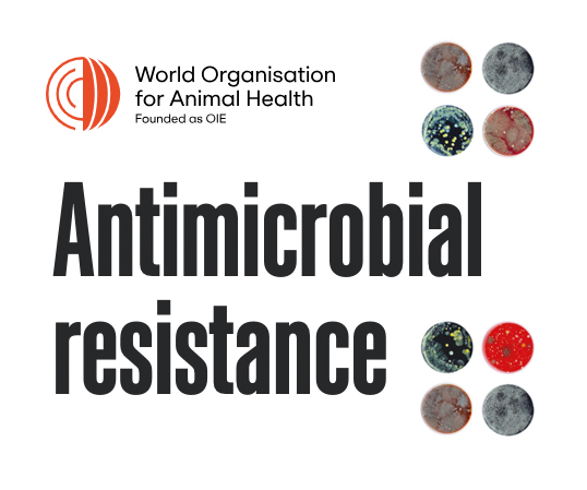 WOAH - Antimicrobial resistance