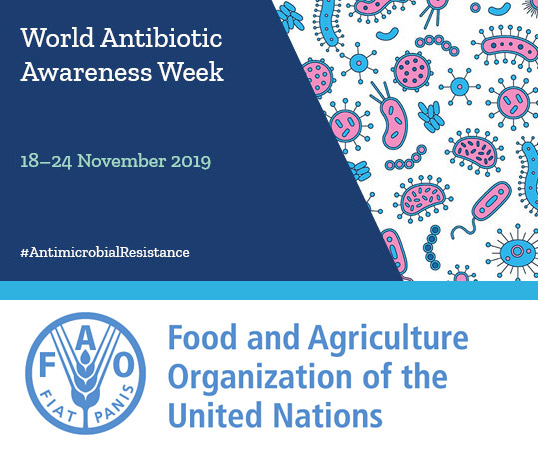 FAO - Antimicrobial resistance