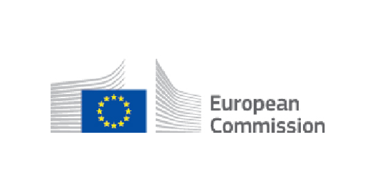 Commissione Europea - Joint Programming