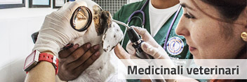 Immagine raffigurante medici veterinari che curano un cane